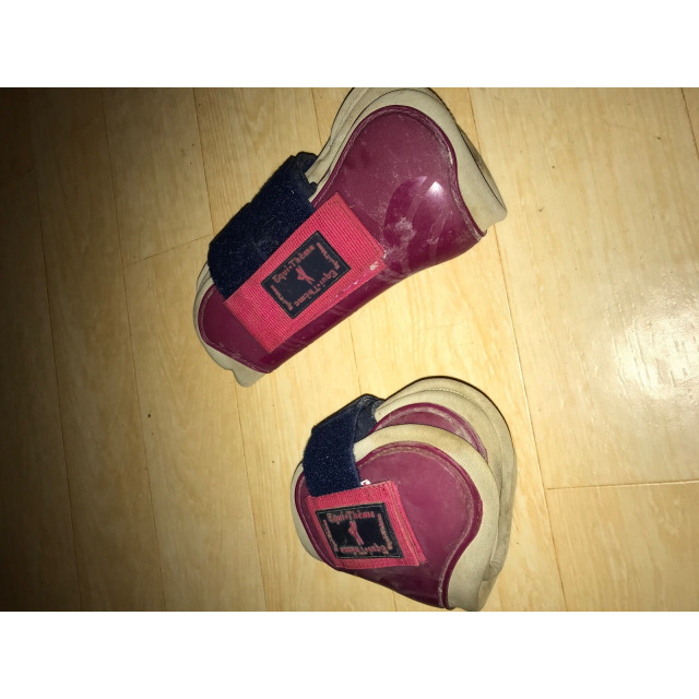 Protections taille cheval