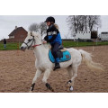 Tapis poney-COB bleu HV polo