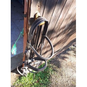 Filets anatomiques Horze