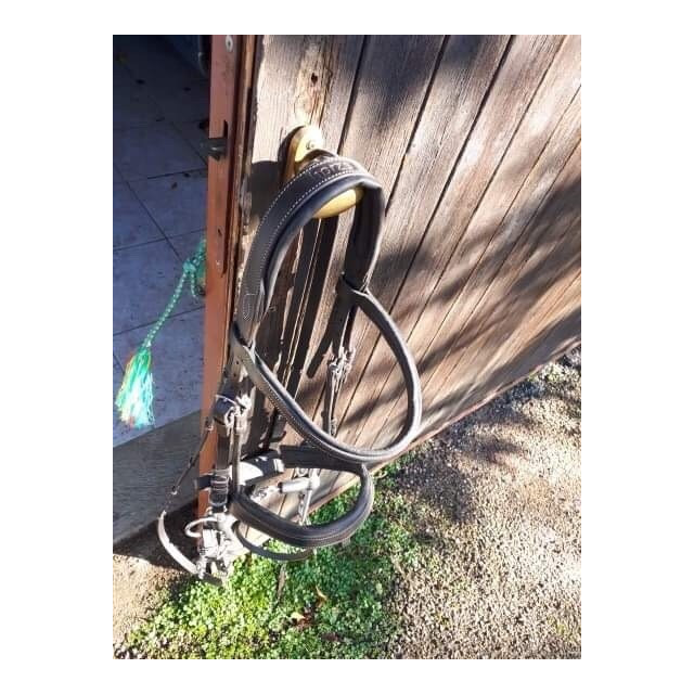 Filets anatomiques Horze