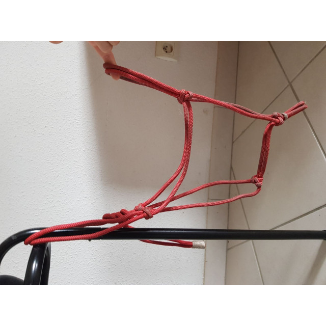 Licol éthologique