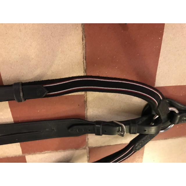 Collier de chasse avec martingale