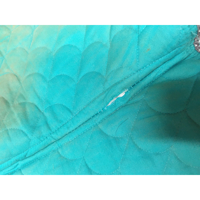 Tapis equitheme turquoise