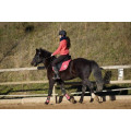 Tapis Scapa Sport COLLECTOR