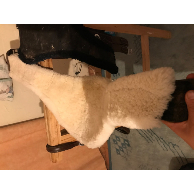 Sangle bavette ikonic + deux moutons