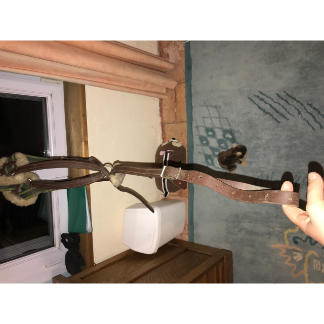 Collier de chasse devoucoux taille cheval