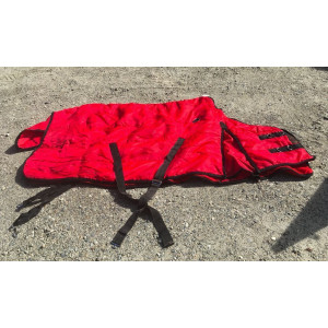 Couverture d'hiver (cob)