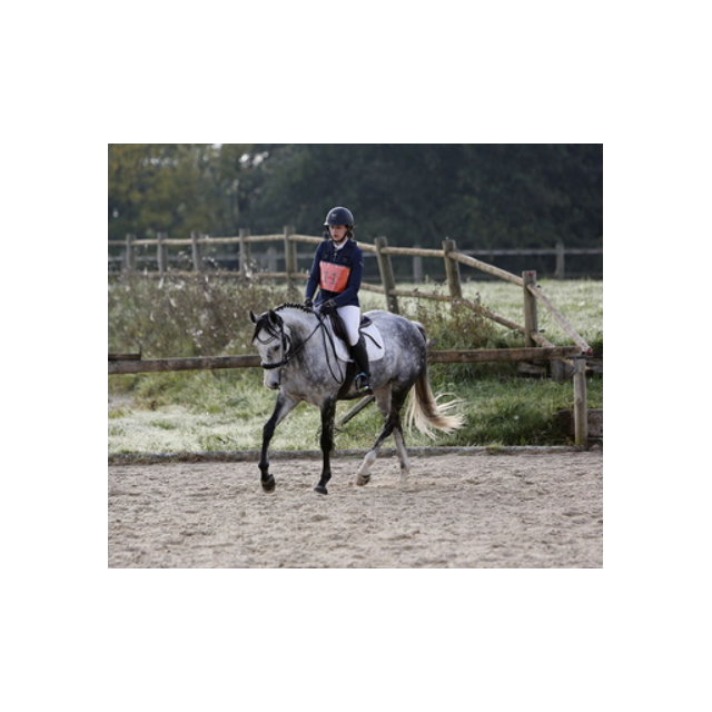 Tapis de Dressage Blanc