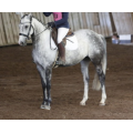 Tapis de Dressage Blanc