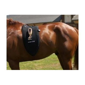 selle dressage
