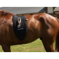 selle dressage