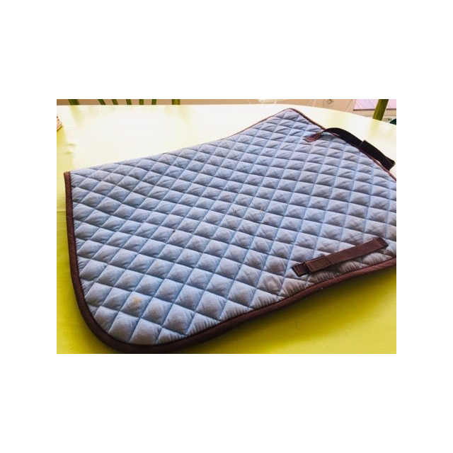 Tapis bleu claire et marron