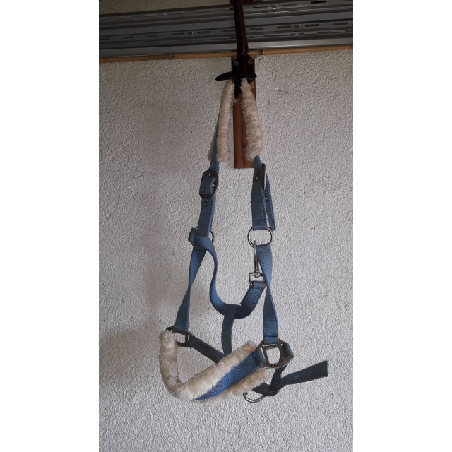 licol mouton bleu