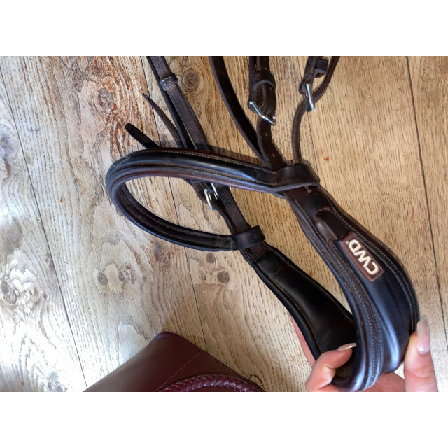 Bridon cheval anatomique CWD