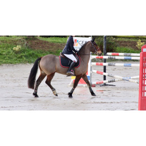 Veste de concours Bleu Marine ELT