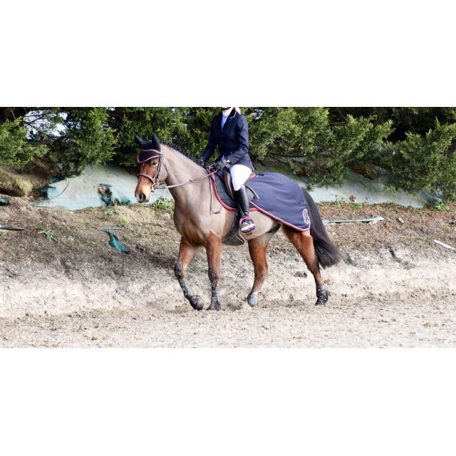 Veste de concours Bleu Marine ELT