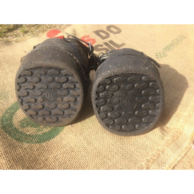 Jogging shoe Equine fusion performance