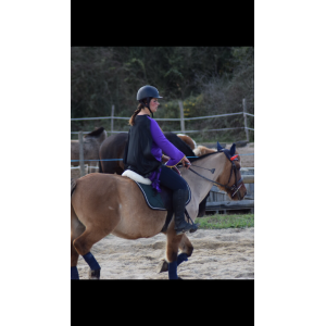 Tapis Lamicell vert sapin