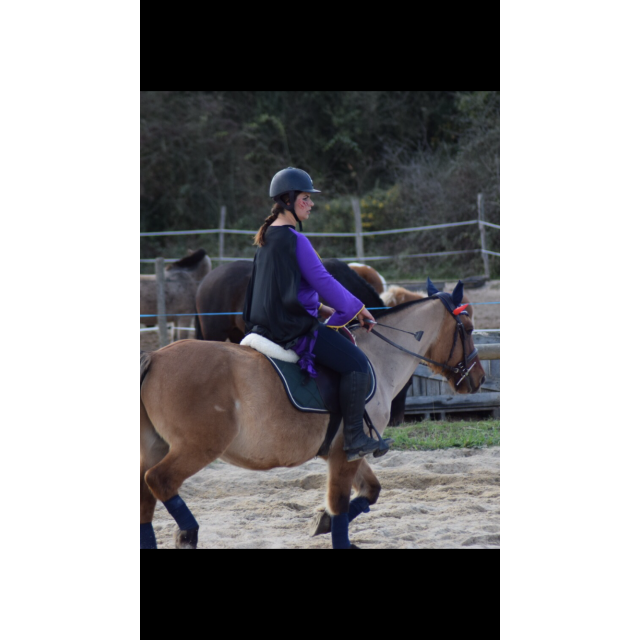 Tapis Lamicell vert sapin