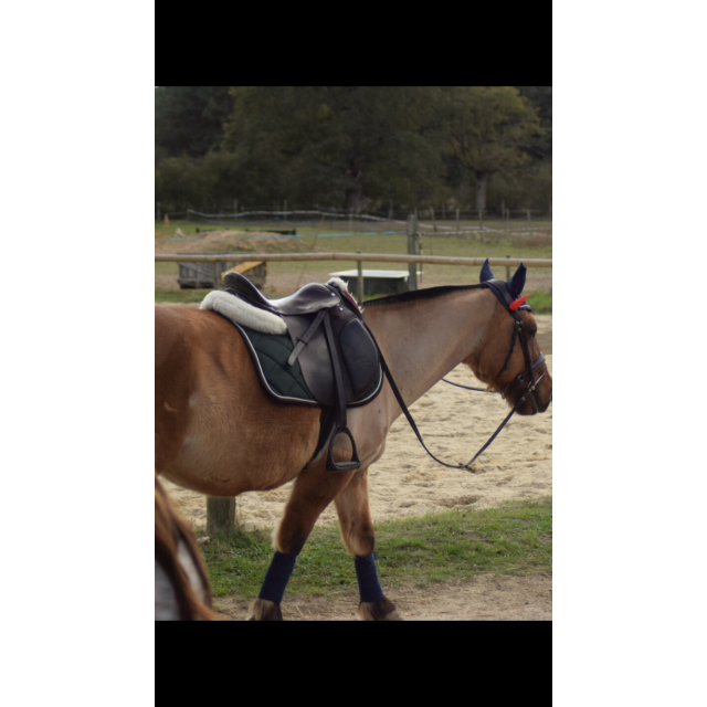 Tapis Lamicell vert sapin