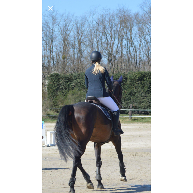 Veste de concours kingsland