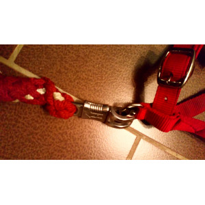 LICOL ROUGE + LONGE