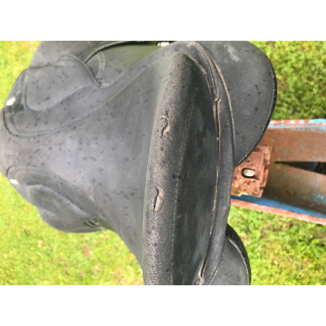 Selle mixte Wintec 2000 17,5 pouces