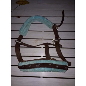 Licol marron Avec moumoute bleu