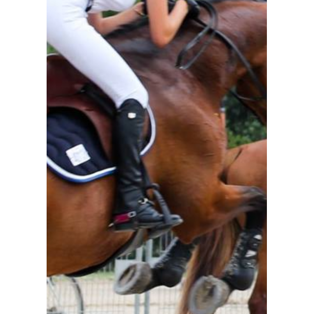 Protèges éperons en cuir