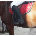 Mini Chaps simili cuir Fouganza