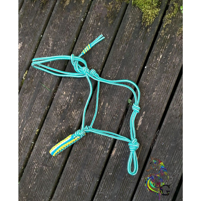 Licol éthologique cheval