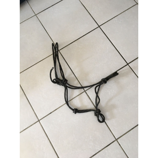 Licol éthologique