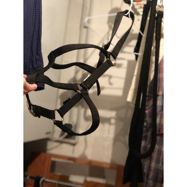 pack d’équitation