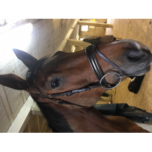 Bridon vernis et strass