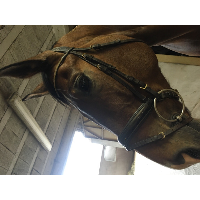 Bridon vernis et strass