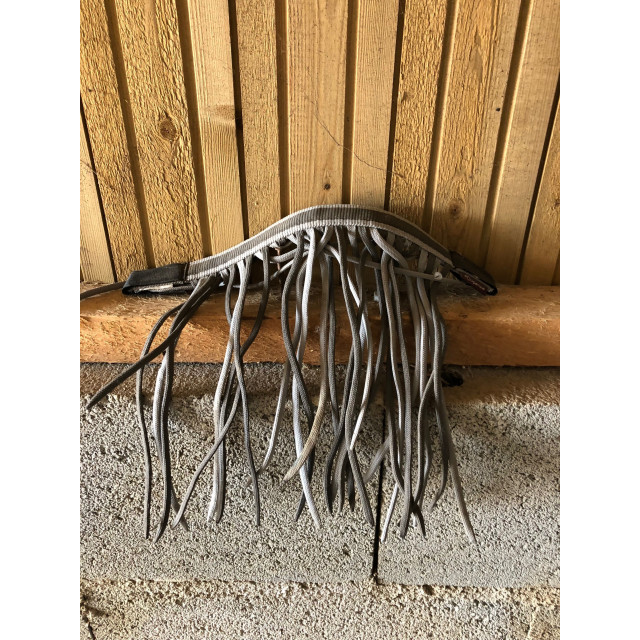 Frontal chasse mouche