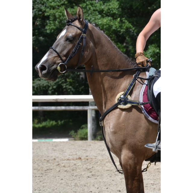 COLLIER DE CHASSE ÉLASTIQUE C.S.O. "CONFORT" CHEVAL