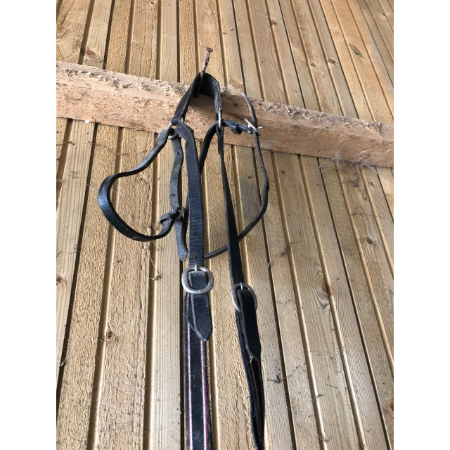 collier de chasse cob