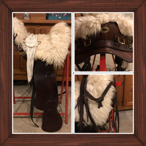 Selle américaine Cheval