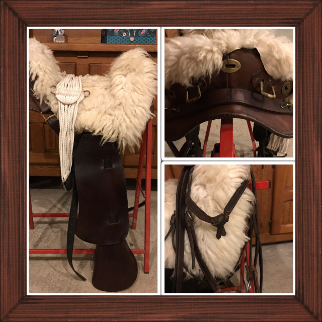 Selle américaine Cheval
