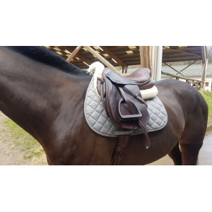 Selle mixte Time Rider 17"