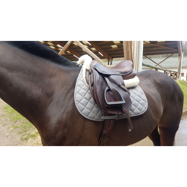 Selle mixte Time Rider 17"