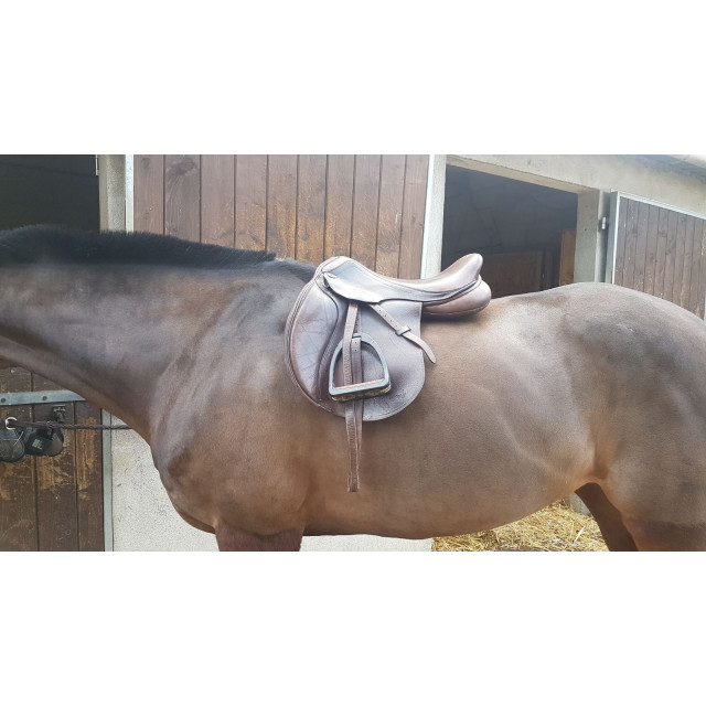 Selle mixte Time Rider 17"