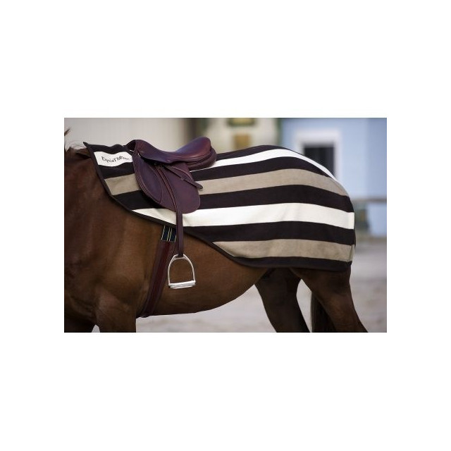 Couvre-rein Equithème poney