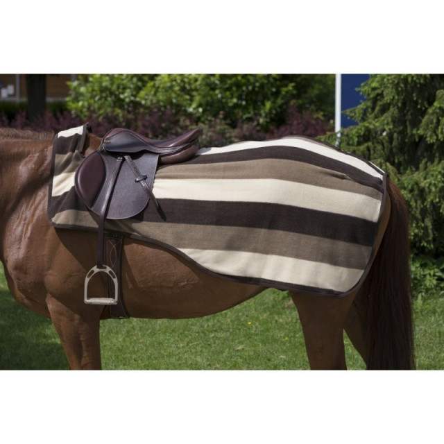 Couvre-rein Equithème poney