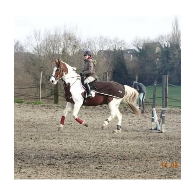 Couvre reins