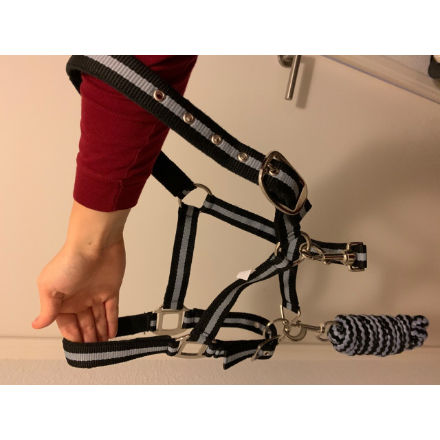 Licol taille poney nylon NEUF + longe