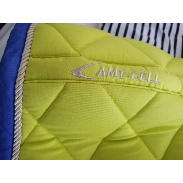 Tapis dressage fun