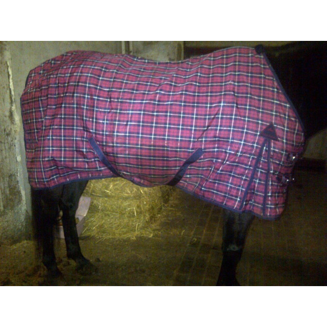 Chemise robuste de box