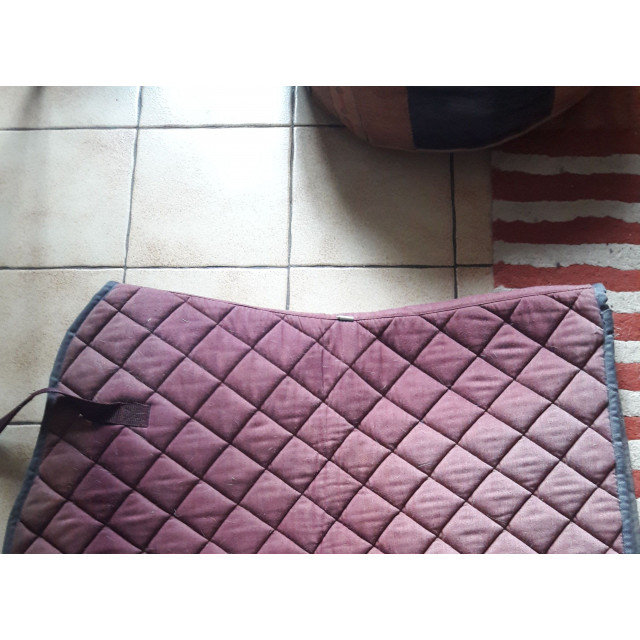 Tapis
